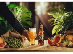 Valaisanne Bier Juicy IPA 4 x 0.33 l