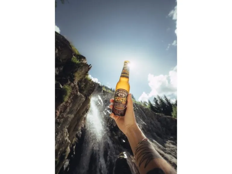 Valaisanne Bier Juicy IPA 4 x 0.33 l