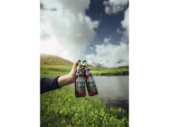 Valaisanne Bier Pale Ale 4 x 0.33 l