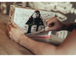 Valaisanne Lager Bier 10 x 0.33 l