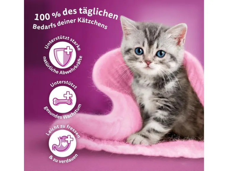Whiskas Klassische Auswahl Junior, in Sauce