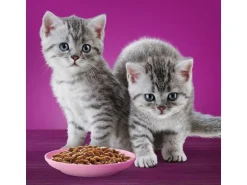 Whiskas Klassische Auswahl Junior, in Sauce